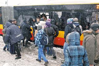 Śnieżyca sparaliżowała stolicę