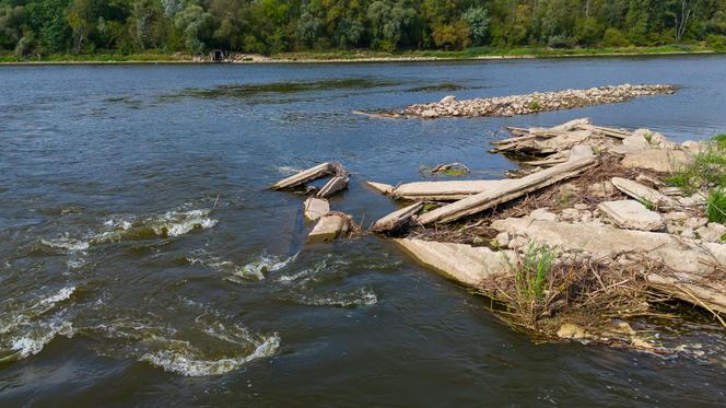 Wisła wysycha - rekordowo nisko poziom wody. Zobacz zdjęcia