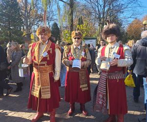 Kwesta na cmentarzu Rakowickim 2025