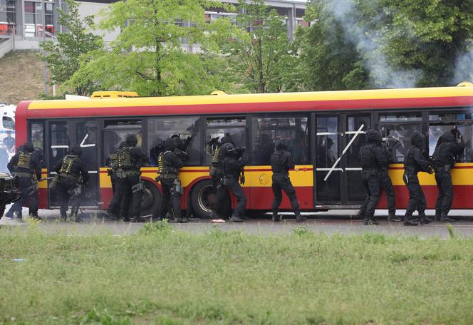 W niedzielę jeździmy bez biletu