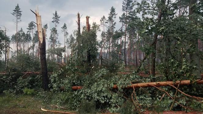 Niszczycielka nawałnica pod Świeciem! Przerażające zdjęcia