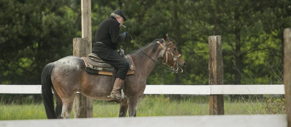 Daniel Olbrychski: Kowboj z Podkowy Leśnej