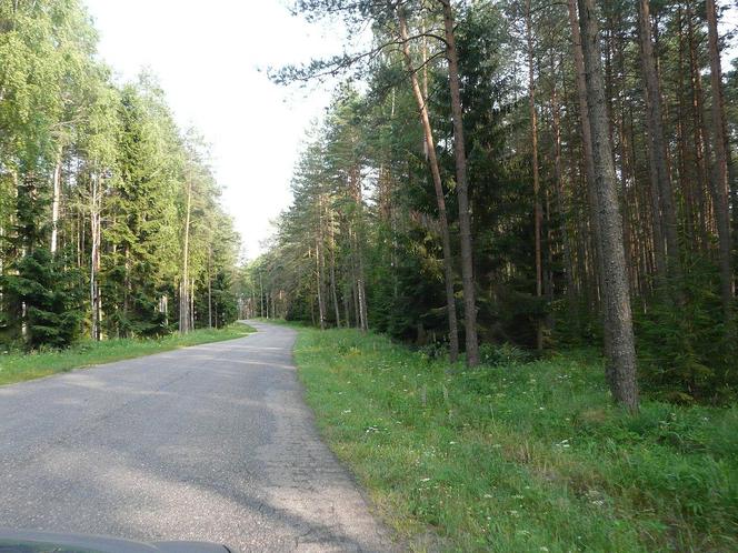 Wigierski Park Narodowy. To bezcenny obszar podlaskiej natury