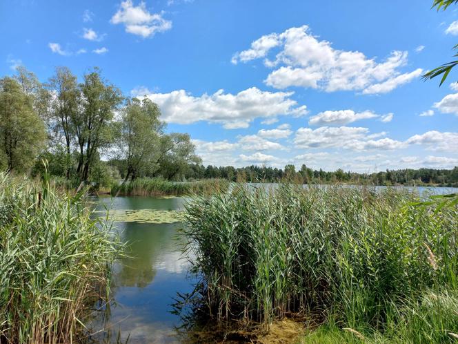 Przy zbiorniku wodnym na Zaborowie w Lesznie powstaje ścieżka rowerowa