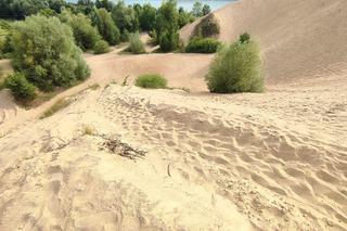 Majówka 2024 na Warmii i Mazurach. Gdzie warto pojechać? TOP 12 najlepszych miejsc