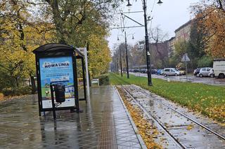 Czarna szyna to niepokojące zjawisko. Alarm dla mieszkańców Torunia