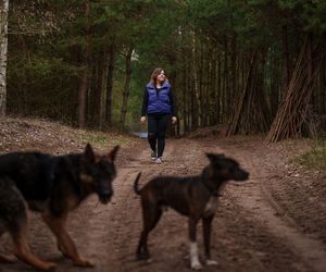 Uczestnicy Rolnik szuka żony 2025