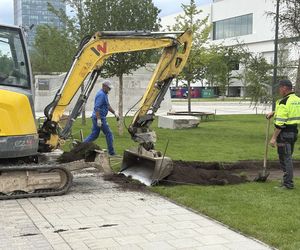 Absurd roku w Warszawie. Zrywają zieleń na nowym pl. Centralnym. Zamiast niej będzie beton