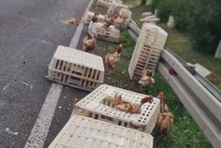 Wypadek w Świerczynku