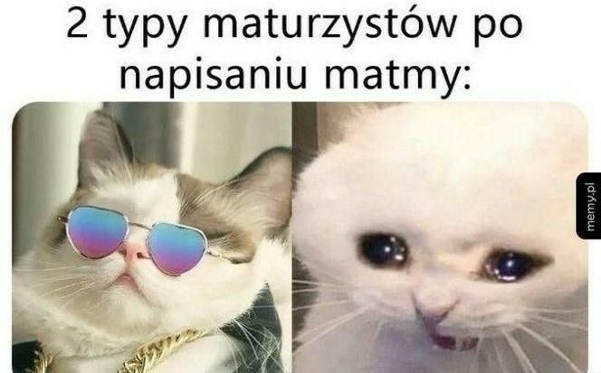 Matura - memy