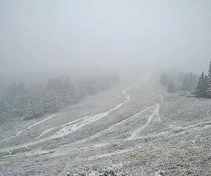 Pierwszy śnieg spadł w Beskidach na Babiej Górze i w Korbielowie