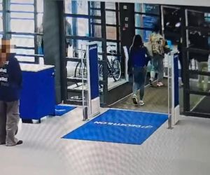 Ukradła i schowała się przed policją za drzewem