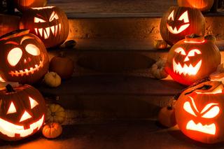 Halloween przyczynia się do efektu cieplarnianego? Dynie emitują metan!