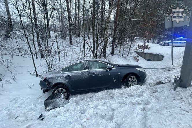 Ścięła znak, latarnię i wjechała do rowu. 20-latka z Żor chyba nie zauważyła alertu RCB