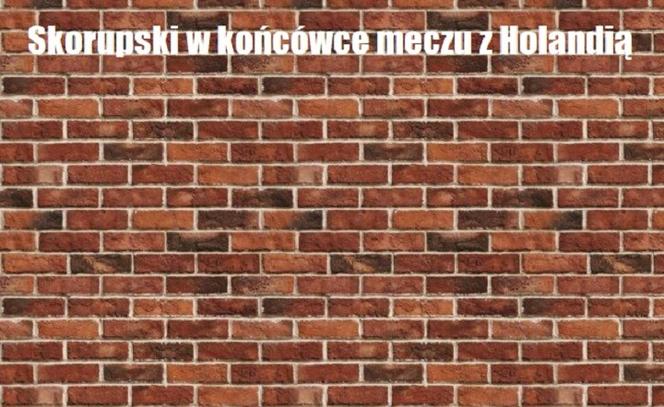 Memy po meczu Holandia - Polska