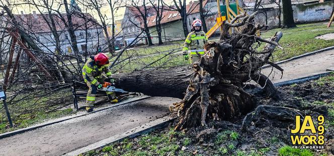 Wichura na Dolnym Śląsku. Uszkodzone dachy, powalone drzewa. Ponad 300 interwencji straży