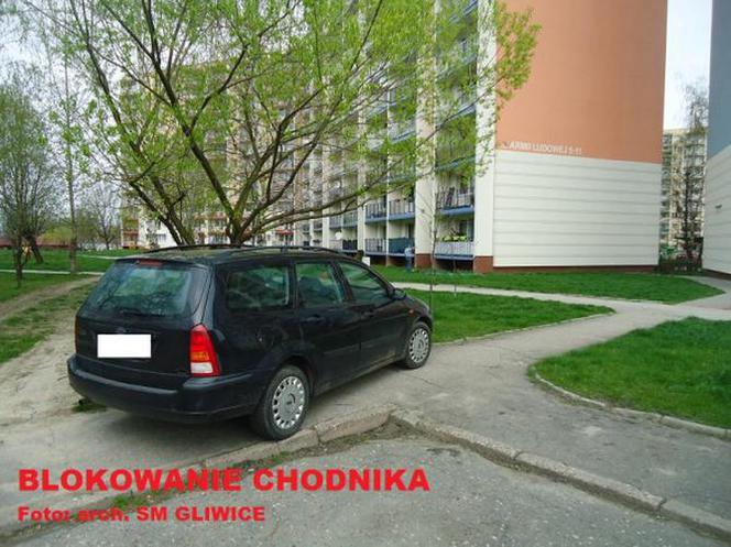 Mistrzowie parkowania z Gliwic