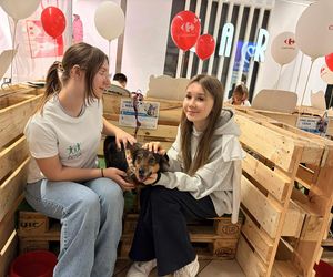 Akcja adopcyjna Fundacji Dobre Ludki w Grudziądzu. Zobacz zdjęcia 