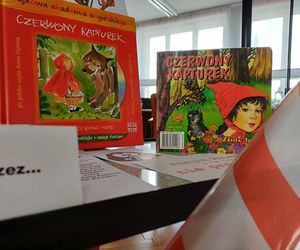 Uwaga CENZURA! Tych książek w bibliotece nie wypożyczycie [ZDJĘCIA]