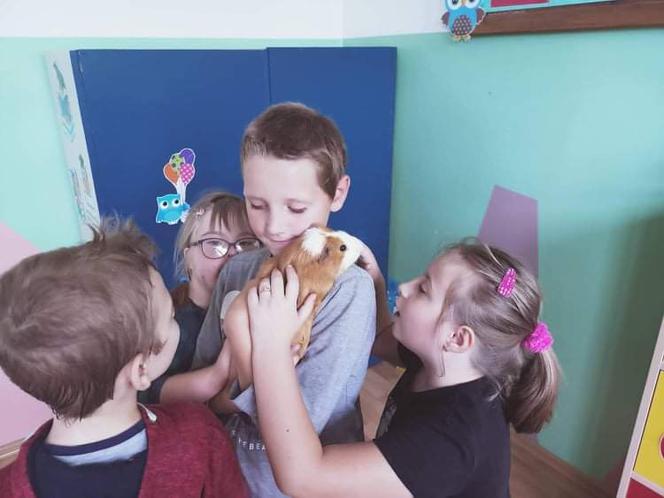 RODOTERAPIA - czyli terapia gryzoniami w Szkole Podstawowej Specjalnej nr 19 w Kaliszu
