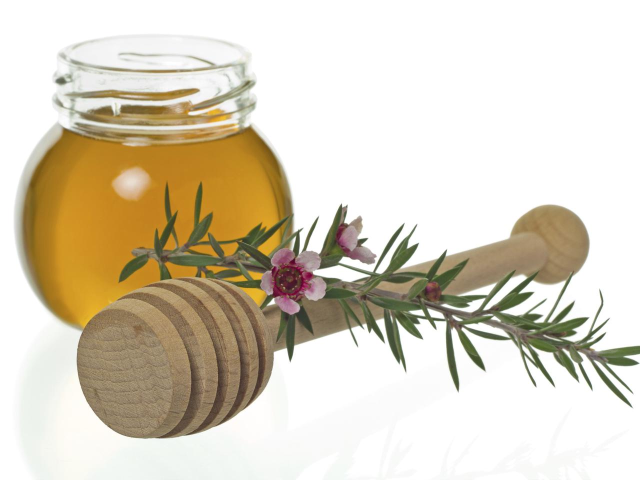 Miód manuka: poznaj jego właściwości!