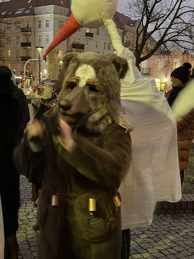 Podkoziołek 2025. Kolorowy pochód w Poznaniu