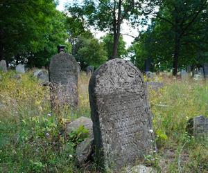 Zabytkowy cmentarz żydowski z XIX wieku w Białymstoku. Ostatnia taka ocalała nekropolia w mieście