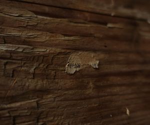 Przy remoncie Domu Ludowego odkryto cerkiew