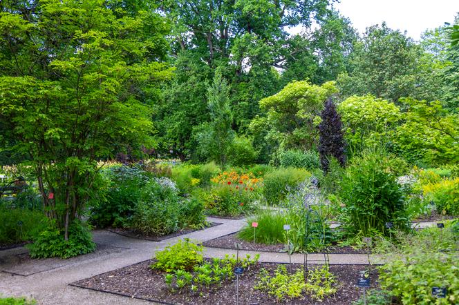 7 najładniejszych ogrodów botanicznych w Polsce. Kiedy je odwiedzić i gdzie są?