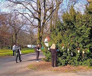 Światowy Dzień Poezji w Szczecinie