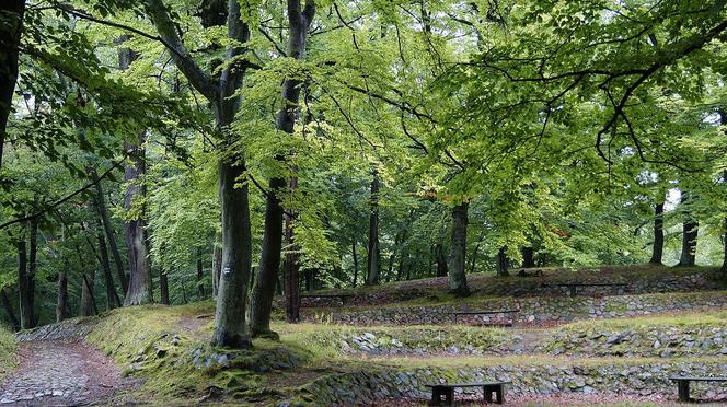   Elbląg to najniżej położone miasto w Polsce. Zachwyca zabytkową architekturą i krajobrazami