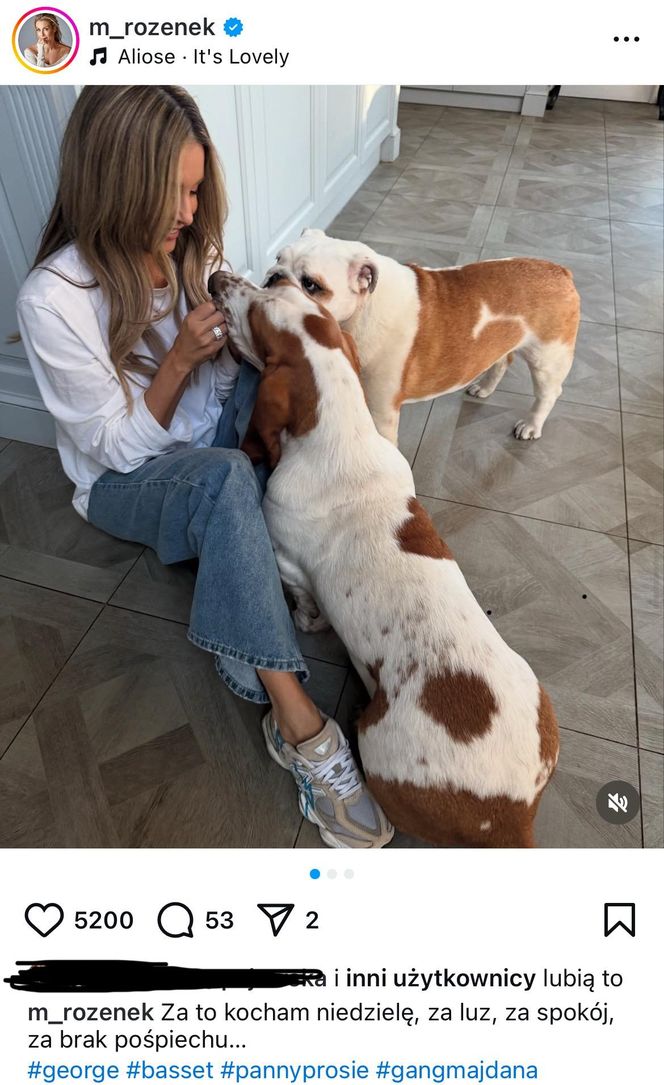 Te psy skradły serca gwiazd! Niektóre wyglądają jak z bajk