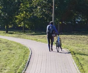 Filary porośnięte bluszczem w Lublinie! Tak się prezentują w jesiennej odsłonie