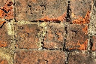 Kolejne ciekawe znalezisko. Wpadli na to archeolodzy pracujący przy Ogrodowej