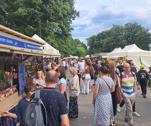 Smoczy Piknik Rodzinny 2025 w Krakowie