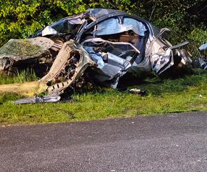 Śmiertelny wypadek pod Gostyniem. Opel i peugeot 18-latków roztrzaskały się o drzewo [ZDJĘCIA]