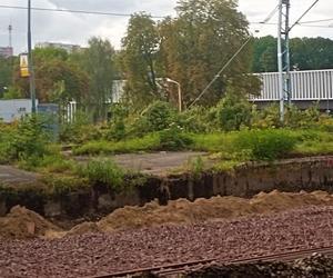 Ze skarpy przy stacji Szczecin Turzyn zniknęły drzewa