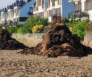 Śmierdzący problem na osiedlu. Mieszkańcy mają hałdy obornika pod oknami