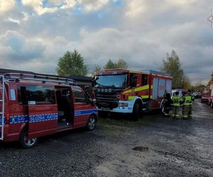 Zaginięcie Karoliny Wróbel. Policyjna akcja na ogromną skalę w Czechowicach-Dziedzicach
