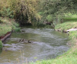 Jesienna odsłona terenów nad Bystrzycą w Lublinie. Tak się prezentuje w październiku