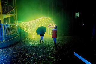 Spektakl światła, dźwięku i... ognia w Lumina Park w Bydgoszczy. Zobaczcie, jak tam magicznie!