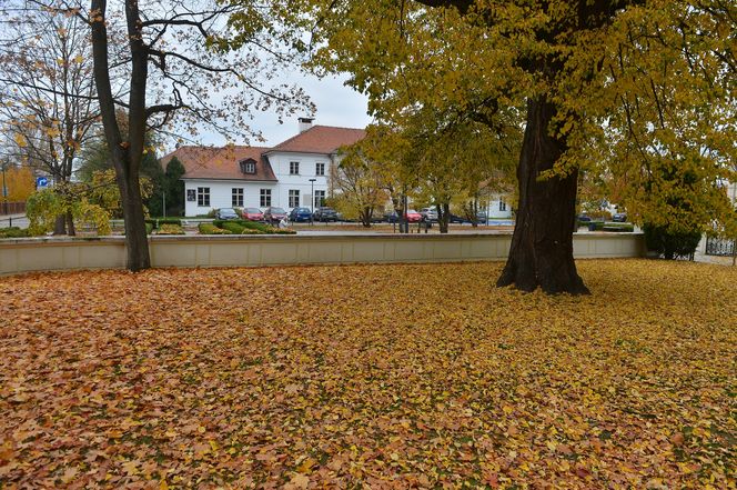 Wilanów