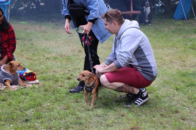 IX Piknik Przyjaciół Schroniska w Toruniu