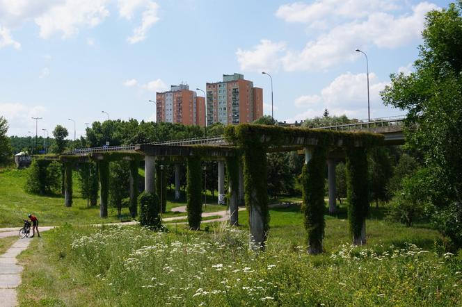 Lublin. „Filary porośnięte bluszczem” i nie tylko. Park Jana Pawła II w lipcowej odsłonie