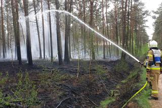 Podpalacz grasuje pod Pleszewem?! Ktoś chyba świetnie się bawi