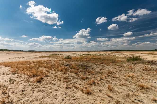 Polska Sahara – Pustynia Błędowska w środku Europy
