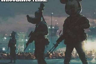 Szczury przejęły władzę nad Wrocławiem. Zobacz Najlepsze MEMY!