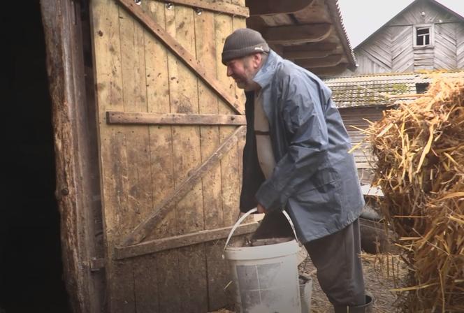 Rolnicy. Podlasie. Gienek i Andrzej karmią krowy. Sławek: Widać jaki tu porządek