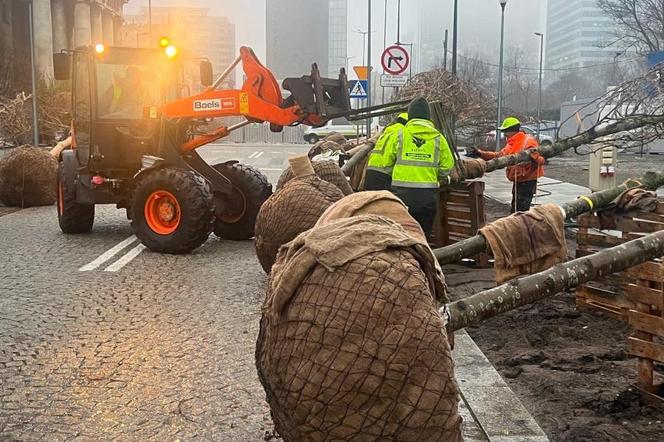 Nowa droga z drzewami przy Muzeum Sztuki Nowoczesnej w Warszawie