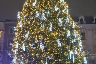 Choinka na Rynku Głównym w Krakowie